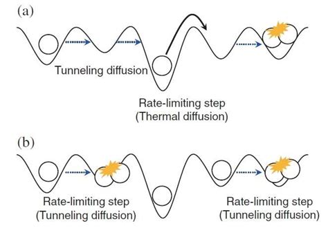 First observation made of quantum-tunneling diffusion of hydrogen atoms on ice