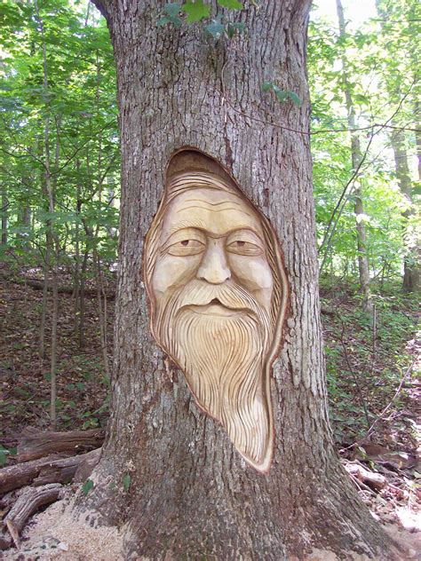 a carved face on the side of a tree in a wooded area with lots of trees