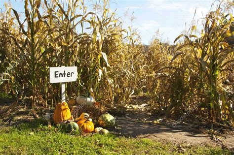 Corn maze Stock Photo by ©ReminisceLTD 33176809