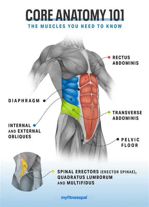 Core-Strengthening Exercises That Target Every Ab Muscle | Fitness | MyFitnessPal