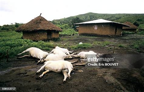 Lake Nyos Cameroon Photos and Premium High Res Pictures - Getty Images