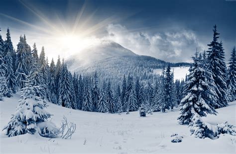 Winter Forest Wallpaper with Mountain and Sun