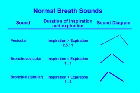 PA Exam 2 - Add on cards, + Thorax, Cardiovascular (+Peds), Peripheral Vascular, Breast ...