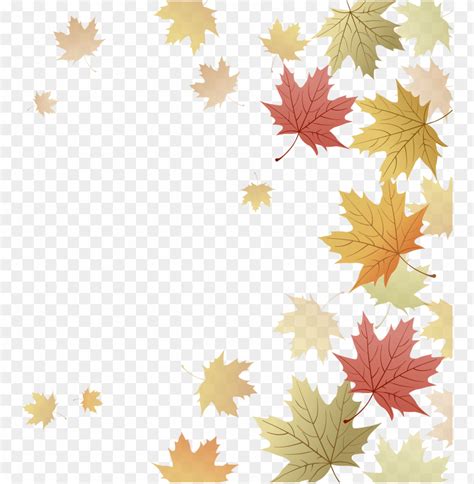 Japanese Maple Red Maple Maple Leaf Autumn - Fall Leaves Border Transparent Free PNG Transparent ...