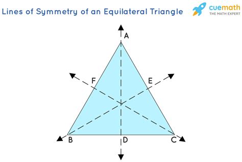 How many lines of symmetry does an equilateral triangle have? [Solved]