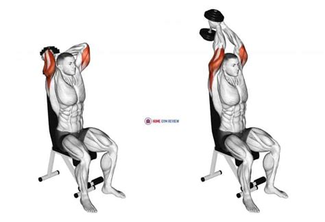 Dumbbell Seated Triceps Extension - Home Gym Review