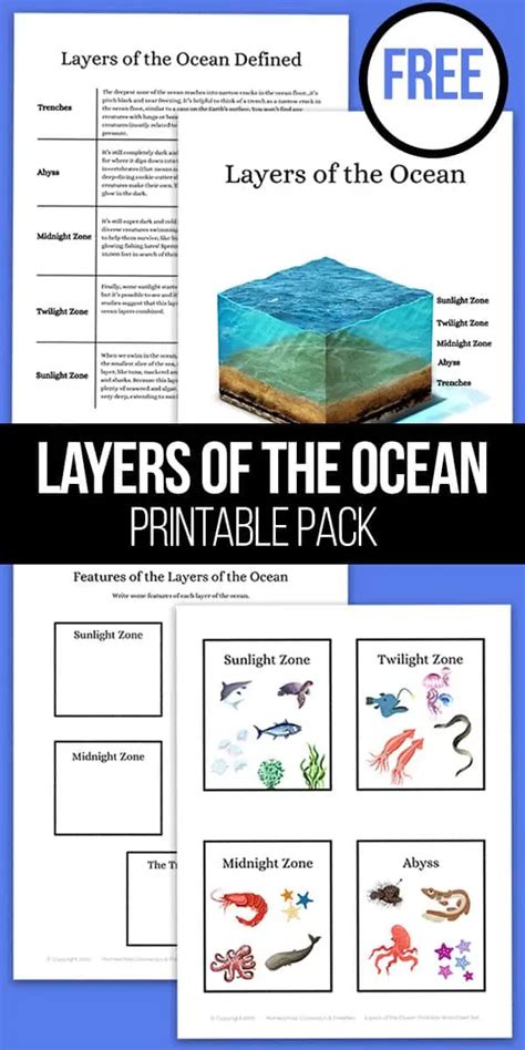 Layers of the Ocean Printable Worksheets