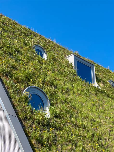 Green Roof House Free Stock Photo - Public Domain Pictures