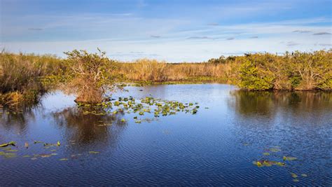 All About the Humid Subtropical Climate - 321 Boat : The Best Boat Rental in Melbourne FL