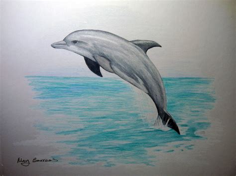 Spinner Dolphin Drawing at GetDrawings | Free download