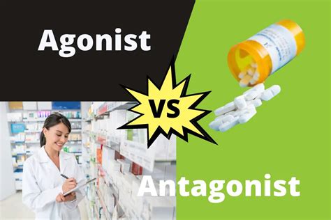 Agonist Vs Antagonist | ContrastHub