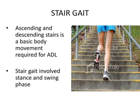 Gait biomechanics