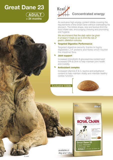 Royal Canin Great Dane 23 dog food - My Pet Care Supplies.com