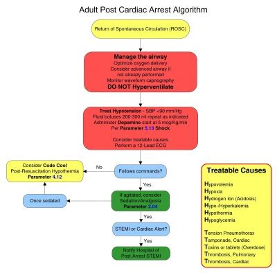 Adult Immediate Post-Cardiac Arrest Care - Protocopedia