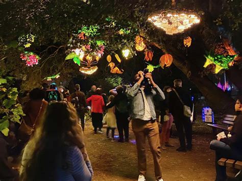 The 11th Annual Autumn Lights Festival Lights the Night