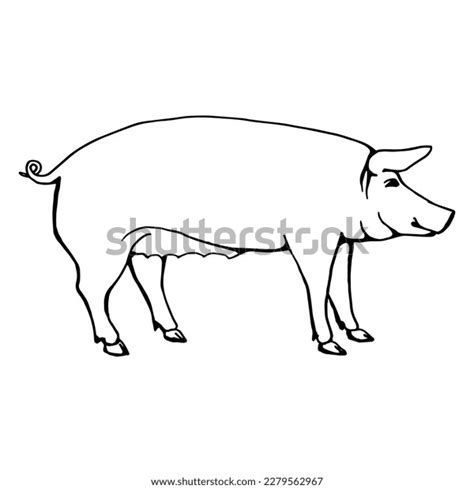 Sketch Pig Side View Line Drawing Stock Vector (Royalty Free) 2279562967 | Shutterstock