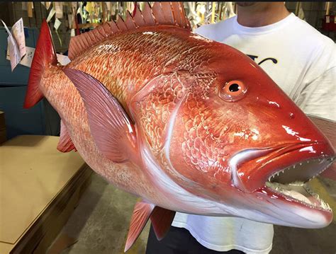 Red Snapper Fish Mount | mounted fish | fish trophy