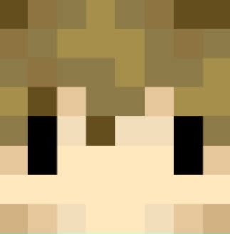 Grian Minecraft Face Memes - Imgflip