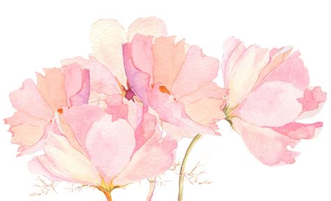 Watercolor Flowers Wallpaper - WallpaperSafari