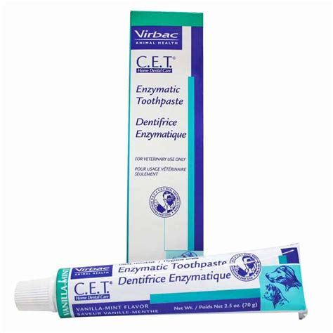 The Best Cat Toothpaste for Your Cat - OliveKnows