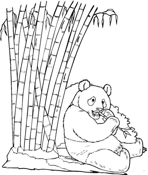 Panda Eating Bamboo Coloring Page - Riset