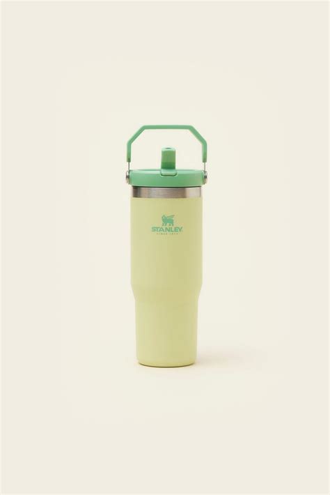 Stanley Straw Tumbler - Custom Eco-friendly Drinkware