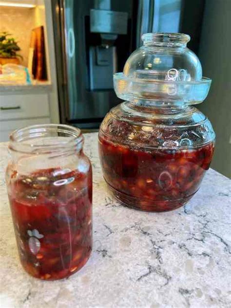 Homemade Grape Wine (2 ingredient recipe) | Recipes with Videos