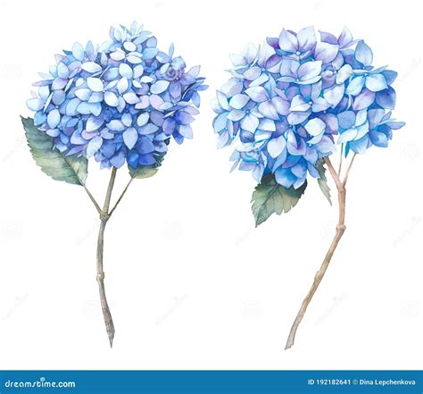 Watercolor Blue Flowers Clip Art Stock Illustration - Illustration of decorative, decor: 192182641