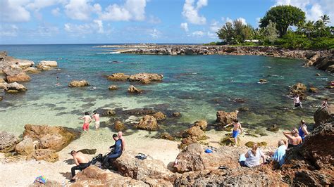 Snorkeling Sharks Cove Is Popular And Worth The Trip