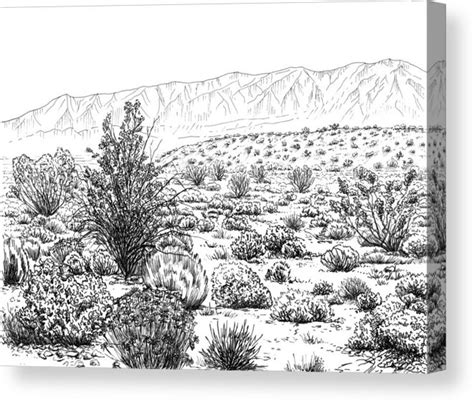 Desert Ecosystem Drawing at PaintingValley.com | Explore collection of Desert Ecosystem Drawing