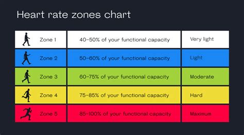 What are Heart Rate Zones & how to calculate it with Welltory