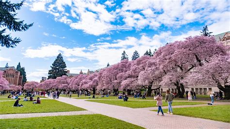 University of Washington ranks among most beautiful college campuses - Axios Seattle