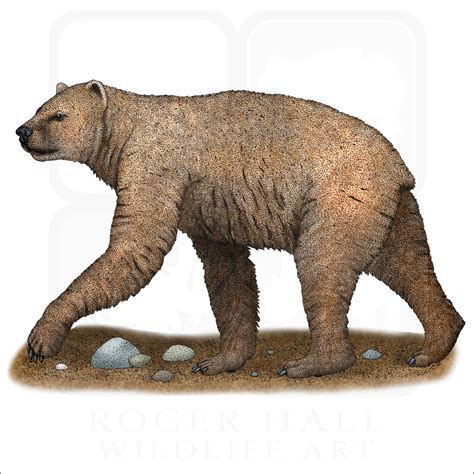 Short-Faced Bear - Signed Fine Art Print