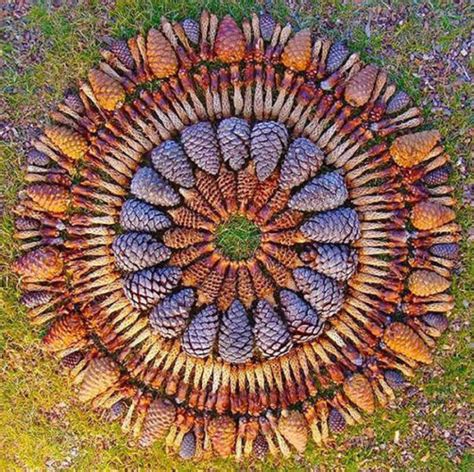 Gorgeous Mandala made from flowers and plants - Kathy Klein