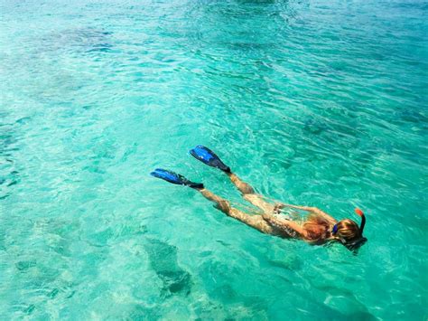 Bahamas Snorkeling Tips – Tyto Tours