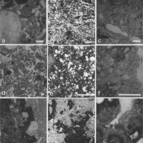 (PDF) Saprolite influence on formation of well-drained and hydromorphic horizons in an acid soil ...