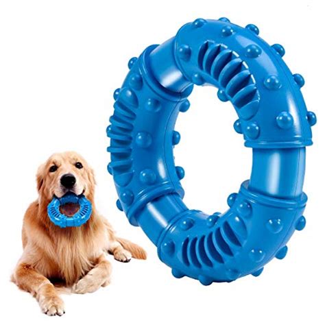 Best Dog Chew Toys for Large Breeds: A Buyer's Guide