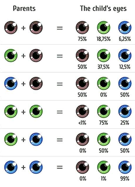 Choose Your Baby’s Eye Color | The Fertility Institutes offers eye color screening and selection