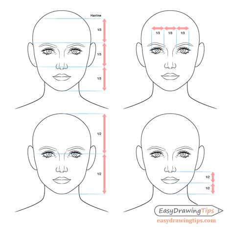 Face proportions, Face drawing, Drawing proportions