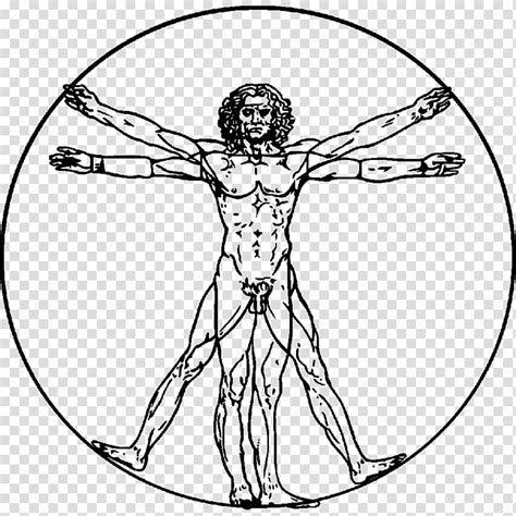 Leonardo Da Vinci Vitruvian Man Drawing