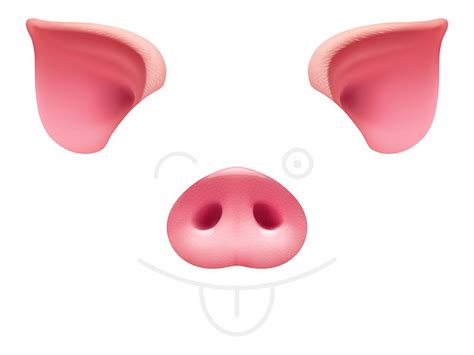 Ears and snout costume chinese new year 2019 vector template clipart isolated pink realistic ...