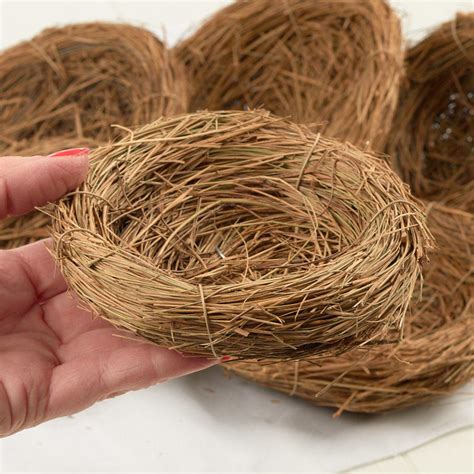 5" Natural Bird's Nests - Birds & Butterflies - Basic Craft Supplies - Craft Supplies - Factory ...