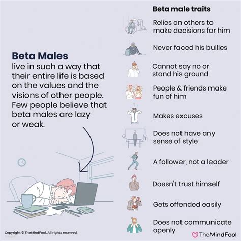 What Is A Beta Male - 20 Traits Help You To Identify Them