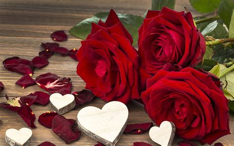 HD wallpaper: Valentine's day red roses, flowers, heart, romantic, love | Wallpaper Flare