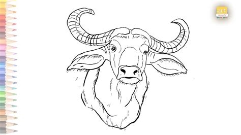 Update 77+ buffalo face sketch best - seven.edu.vn