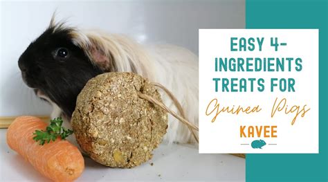 Easiest Homemade Treats for Guinea Pigs Recipe - Kavee Blog USA – Kavee USA