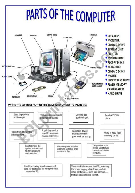 PARTS OF THE COMPUTER - ESL worksheet by silvina joaquina