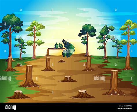 Deforestation scene at sunset illustration Stock Vector Image & Art - Alamy