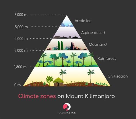 Mount Kilimanjaro's amazing range of climates