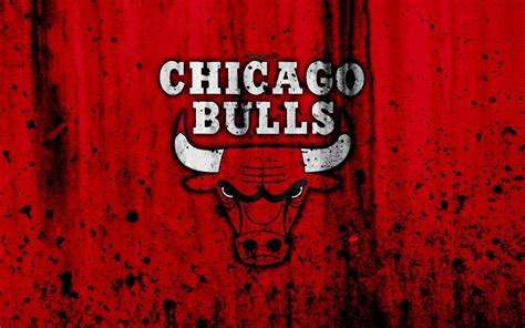 Chicago Bulls Logo History